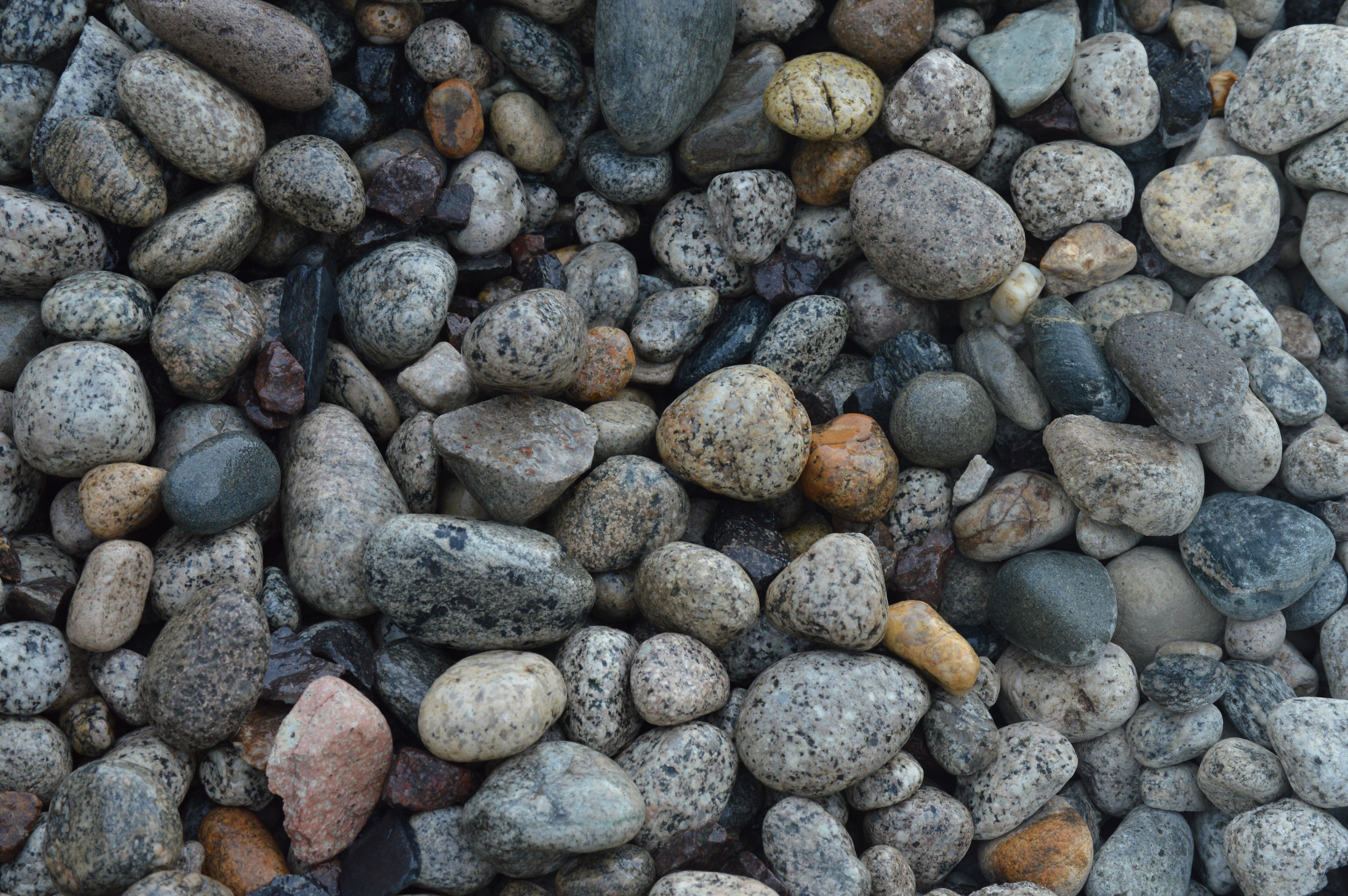 Speckled Cobble - 2"+