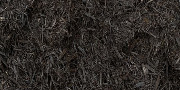 Black Dyed