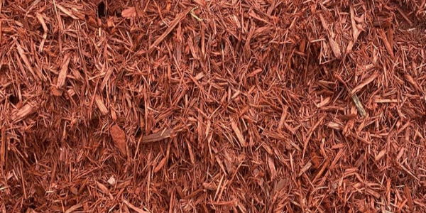 Red Dyed
