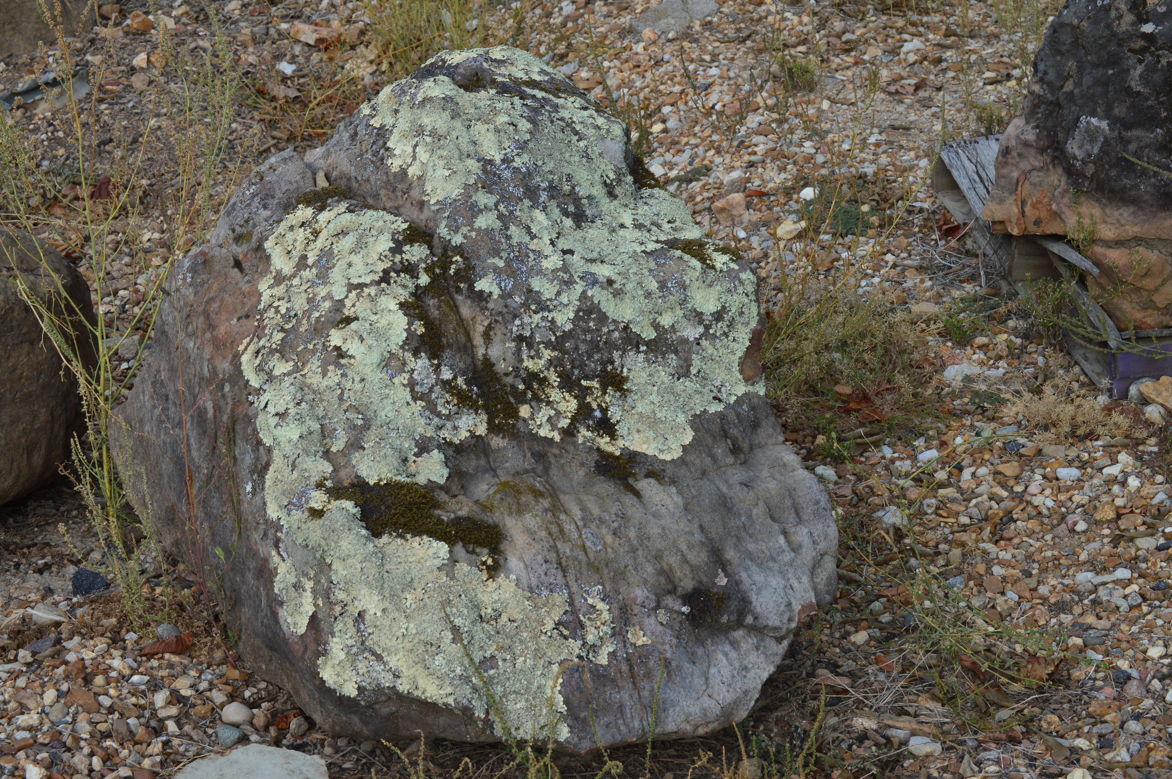 Boulders 7