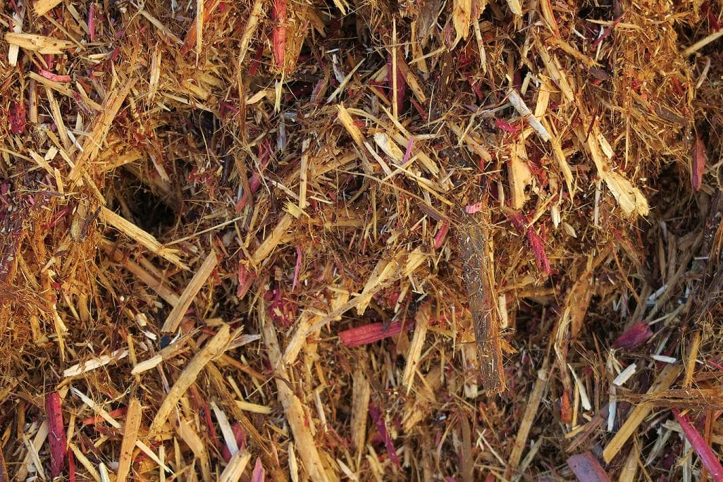 Mulch