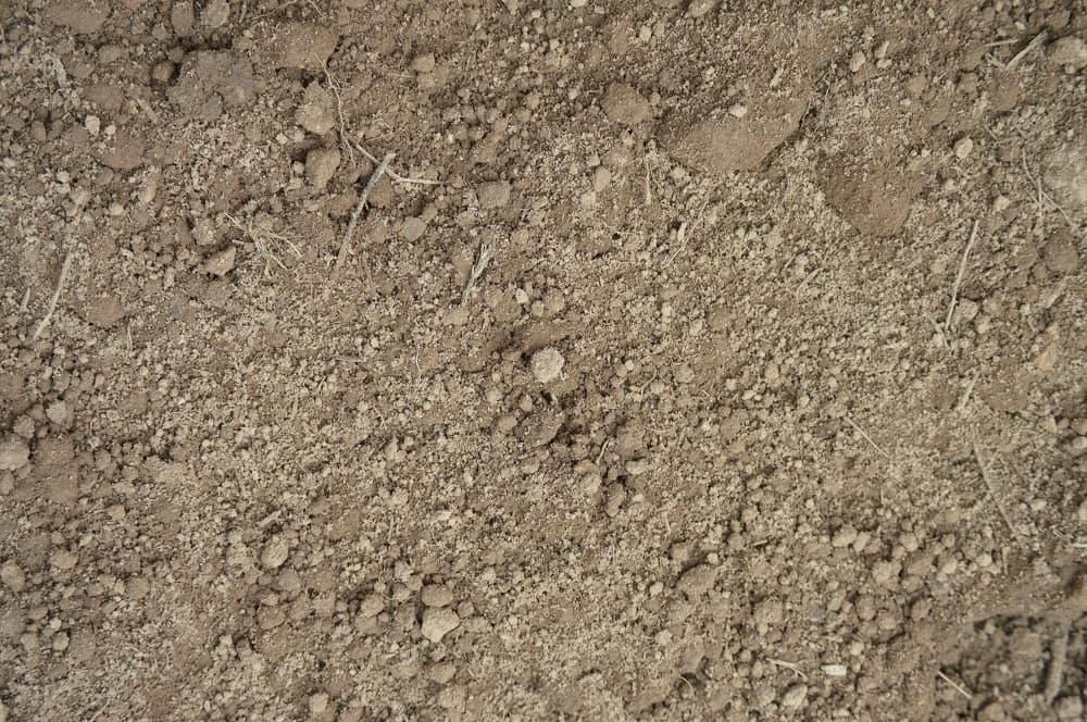 Soil and Compost